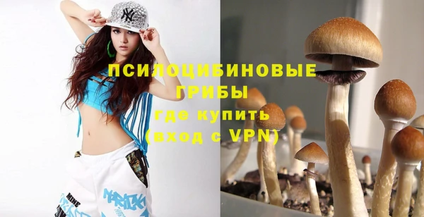 винт Богданович