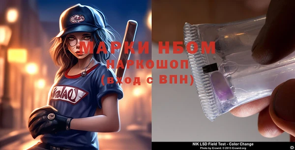 индика Приозерск