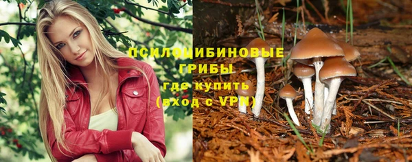 mix Богородск