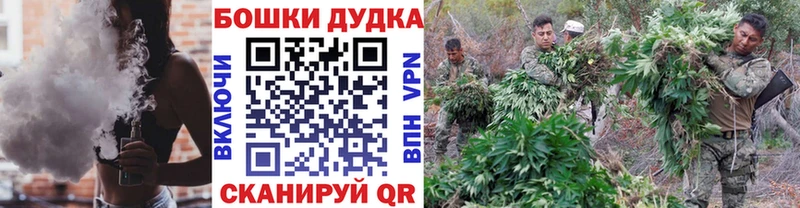 МАРИХУАНА гибрид  купить  цена  Сланцы 